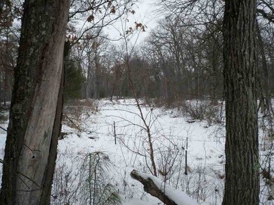 0 County Road H unit 1734948, Cutler, WI 54618 - photo 5