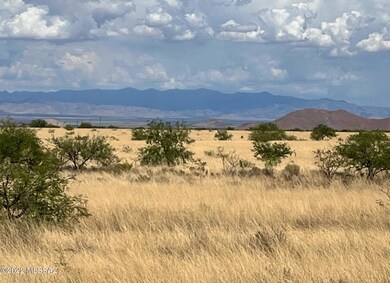 View east of the Chiricahua Mountain Ran