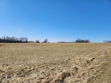 24-132 Lake Carroll Blvd, Lanark, IL 61046 - photo 5