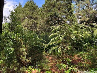 0 Randall Ave unit 22022383, Heber Springs, AR 72543 - photo 4