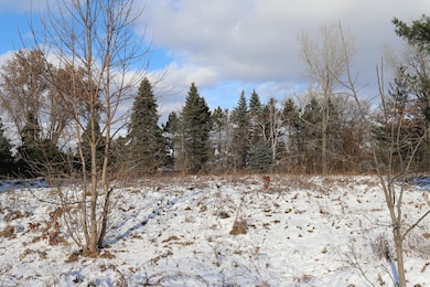 2 Spring Marsh Ln, North Oaks, MN 55127 - photo 4