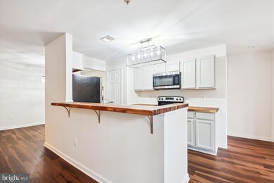 2155 Scotts Crossing Ct unit 101, Annapolis, MD 21401 - photo 4