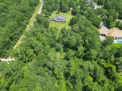 28400 Black Jack Ln, Magnolia, TX 77354 - photo 4