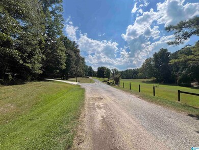 0 Taylor Rd unit 21396069, Remlap, AL 35133 - photo 4