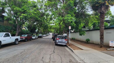 Tree-lined-street-MLS