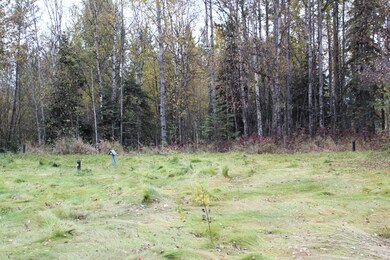 701 N Shadowood Cir, Wasilla, AK 99654 - photo 6