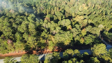 0 Highway 81, Notasulga, AL 36866 - photo 3