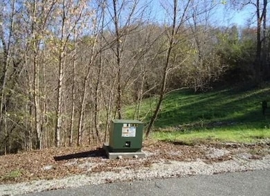 0 Rutherford Ln unit RTC2867601, Smithville, TN 37166 - photo 5