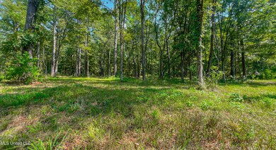 174 Hunter's Cove, Madison, MS 39110 - photo 7