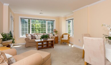 2 Homestead Ln unit 306, Greenwich, CT 06831 - photo 3