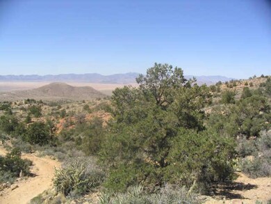 58 Peacock Ranch, Kingman, AZ 86401 - photo 3