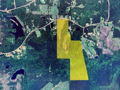 Copiah Map