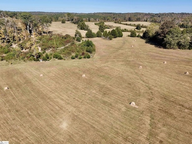 258 Dupree Farm Rd, Buffalo, SC 29321 - photo 3