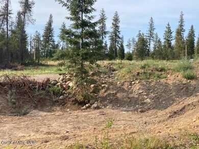 29224 N Old Highway 95, Athol, ID 83801 - photo 3