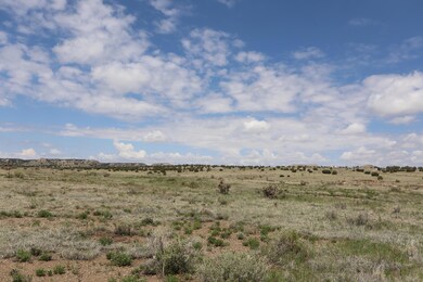 IMG_0639