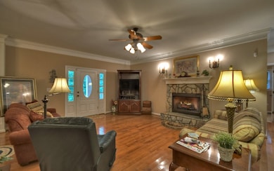 1181 Peter Knob Rd, Blue Ridge, GA 30513 - photo 2