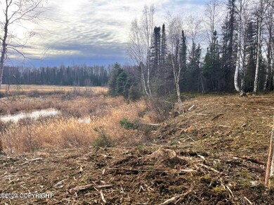 48555 Rainbow Ridge Dr, Willow, AK 99688 - photo 5