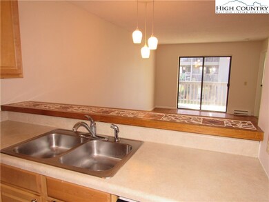 128 Zeb St unit 208, Boone, NC 28607 - photo 7