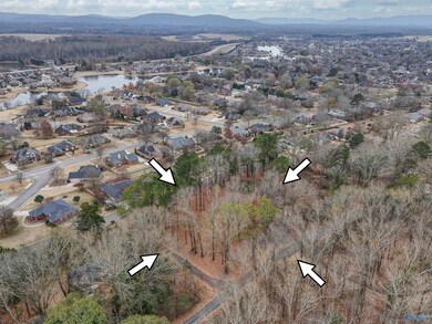 2571 Little Cove Rd, Owens Cross Roads, AL 35763 - photo 6