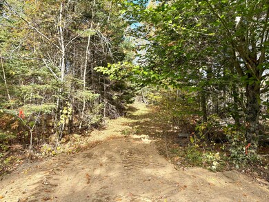 Lot 22 Off South Meadow & Roys Way Rd, Perry, ME 04667 - photo 7