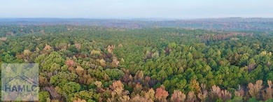 0 Dennis Creek Rd unit 158993, Talbotton, GA 31827 - photo 2