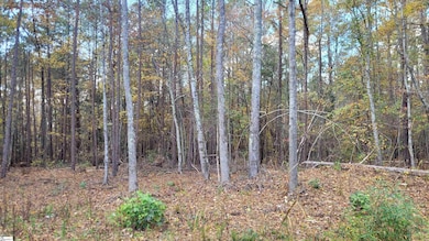 3082 State Road S-30-82, Laurens, SC 29360 - photo 7