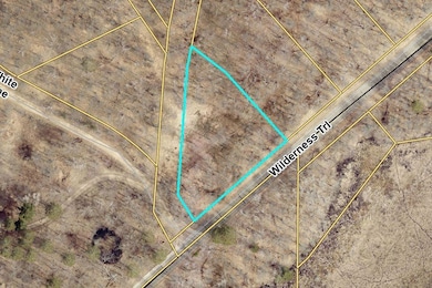 L6B2 Wilderness Trail, Crosslake, MN 56442 - photo 2