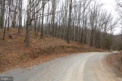 LOT 4 Helmick Rock-Trout Pass Rd, Mathias, WV 26812 - photo 6