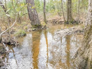 XX1 Worley Rd, Bonifay, FL 32425 - photo 2