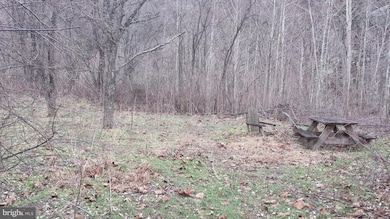 7195 N Fork Hwy, Cabins, WV 26855 - photo 4