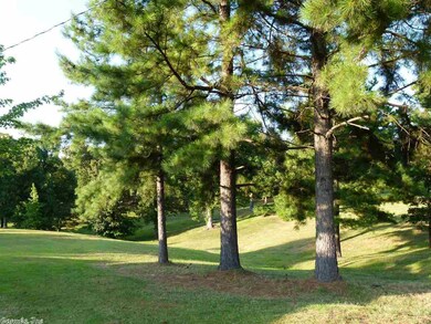 2762 Arkansas 358, Paragould, AR 72450 - photo 5