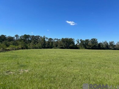 02 Old Highway 51, Amite, LA 70422 - photo 5