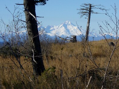 Gillean's Inlet Bluff 2