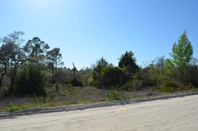 000 Yates Creek Rd unit 2, Perry, FL 32348 - photo 7