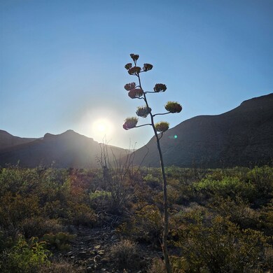 Lot 2D Lady of the Mountain Rd unit 2D, Alamogordo, NM 88310 - photo 6