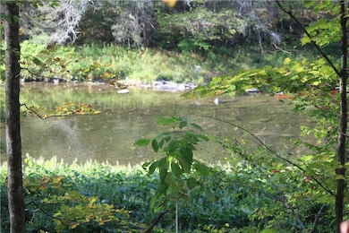 Beaverkill River front