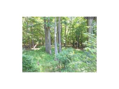 View of the Wooded Acreage.  Sorry, no grazing dee