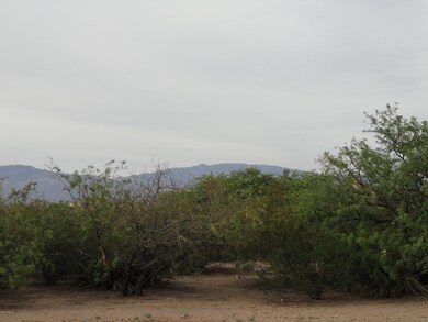 DSC05945.JPG