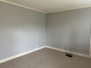 213 Joann Ct, Nashville, TN 37211 - photo 4