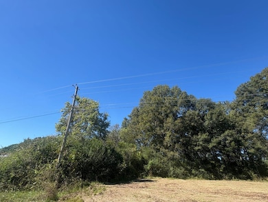 Sanderson Ln, Courtland, AL 35618 - photo 5