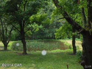 pond
