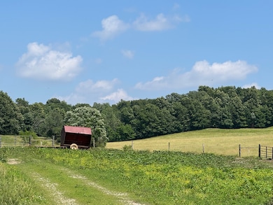 0 1100 N, Buffaloville, IN 47550 - photo 5