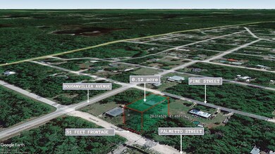 0 Palmetto St unit 25607535, Paisley, FL 32767 - photo 3