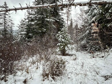 Tbd Deer Creek Rd, Valley, WA 99181 - photo 7