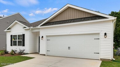 190 David Hill Dr, Buffalo Lake, NC 27330 - photo 3