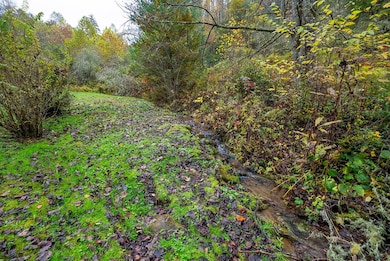 139 I U Gap Rd, Robbinsville, NC 28771 - photo 5