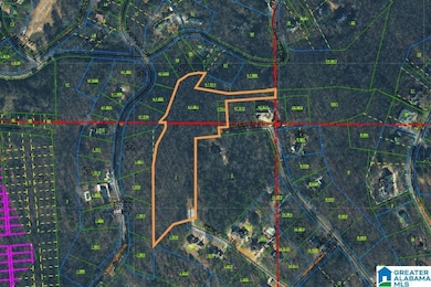 0 Rebecca Trail unit 6.07 ac 21420735, Anniston, AL 36207 - photo 2