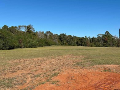 14B  / TBD Old Spanish Trial Dr, Alto, TX 75925 - photo 6