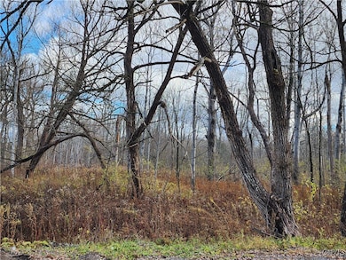 0 New York 294, Boonville, NY 13309 - photo 7