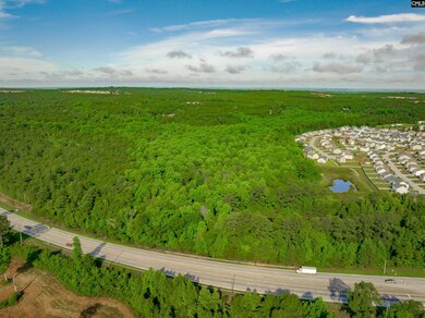 0 Highway 321, West Columbia, SC 29172 - photo 3